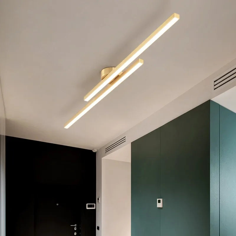 Minimalist Ceiling Light