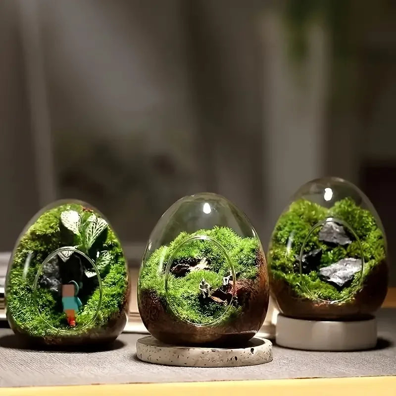 Elegant Glass For Terrarium