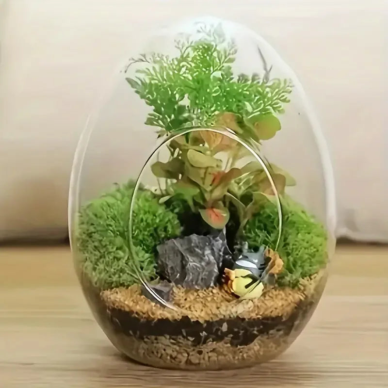 Elegant Glass For Terrarium