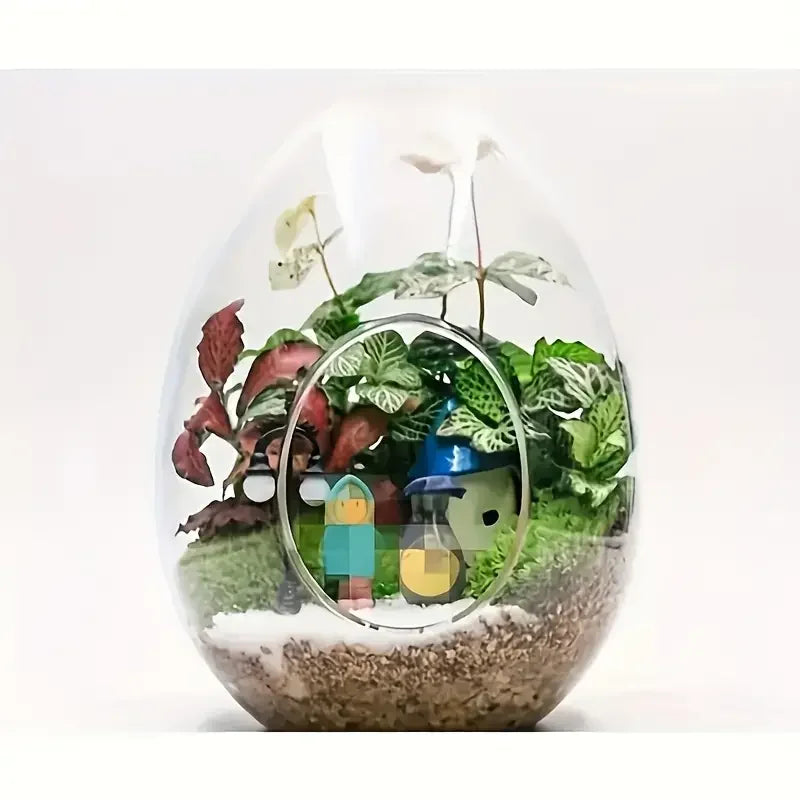 Elegant Glass For Terrarium