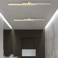 Minimalist Ceiling Light