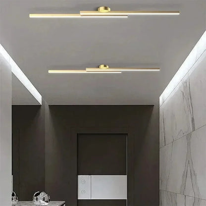 Minimalist Ceiling Light