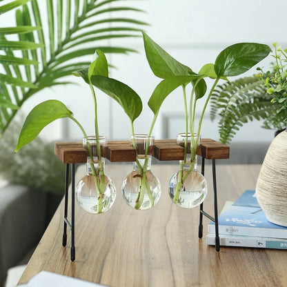 Hydroponic Vase