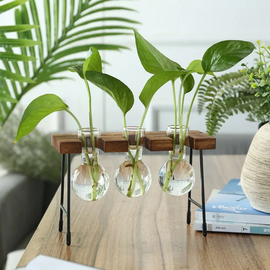 Hydroponic Vase