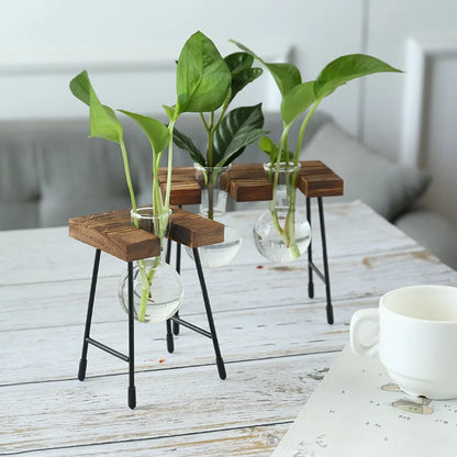 Hydroponic Vase