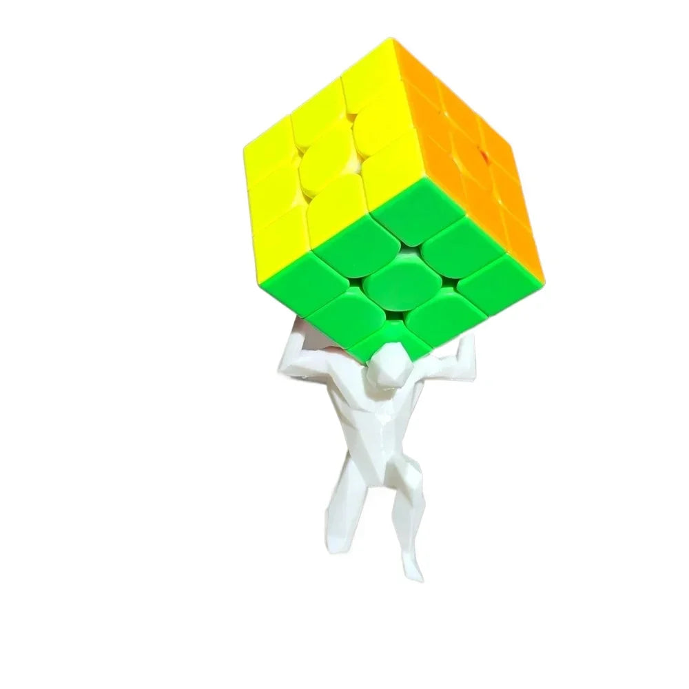 Transform Your Space Elegantly