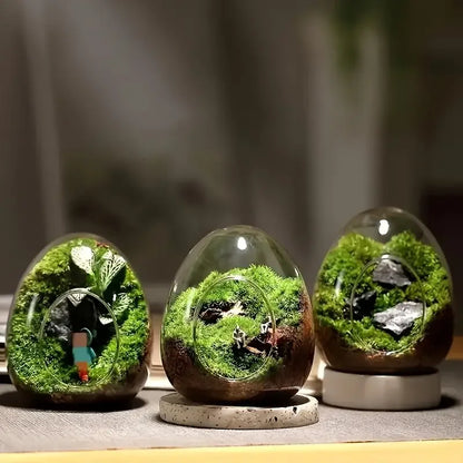 Elegant Glass For Terrarium