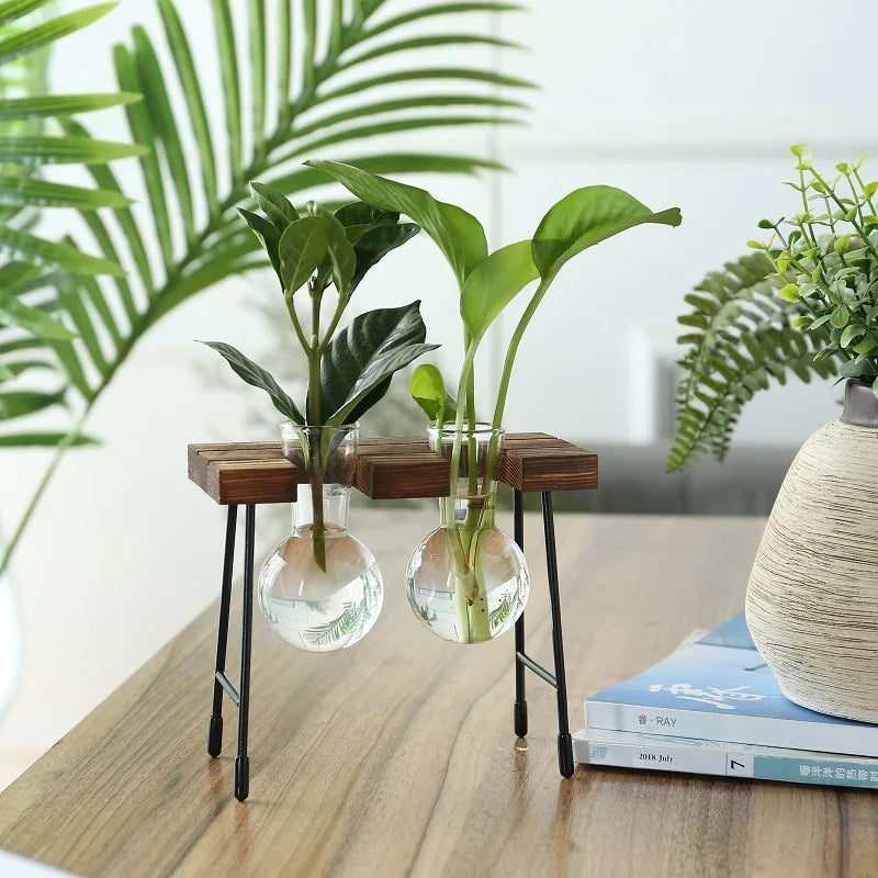 Hydroponic Vase