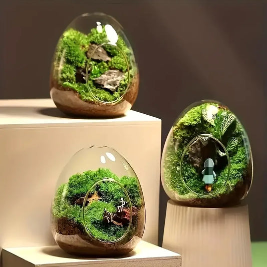 Elegant Glass For Terrarium