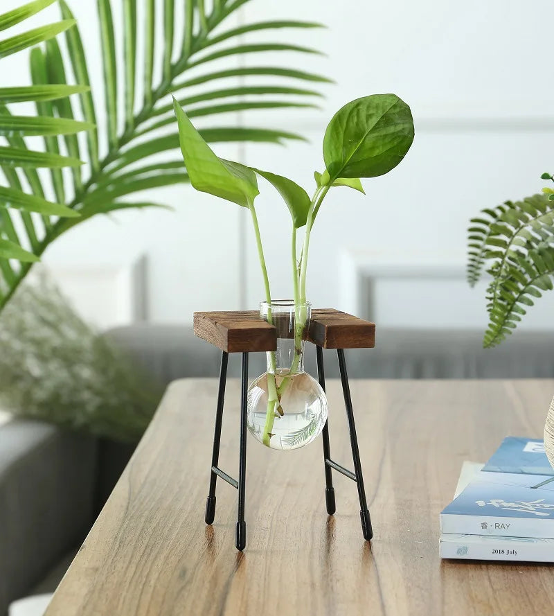 Hydroponic Vase
