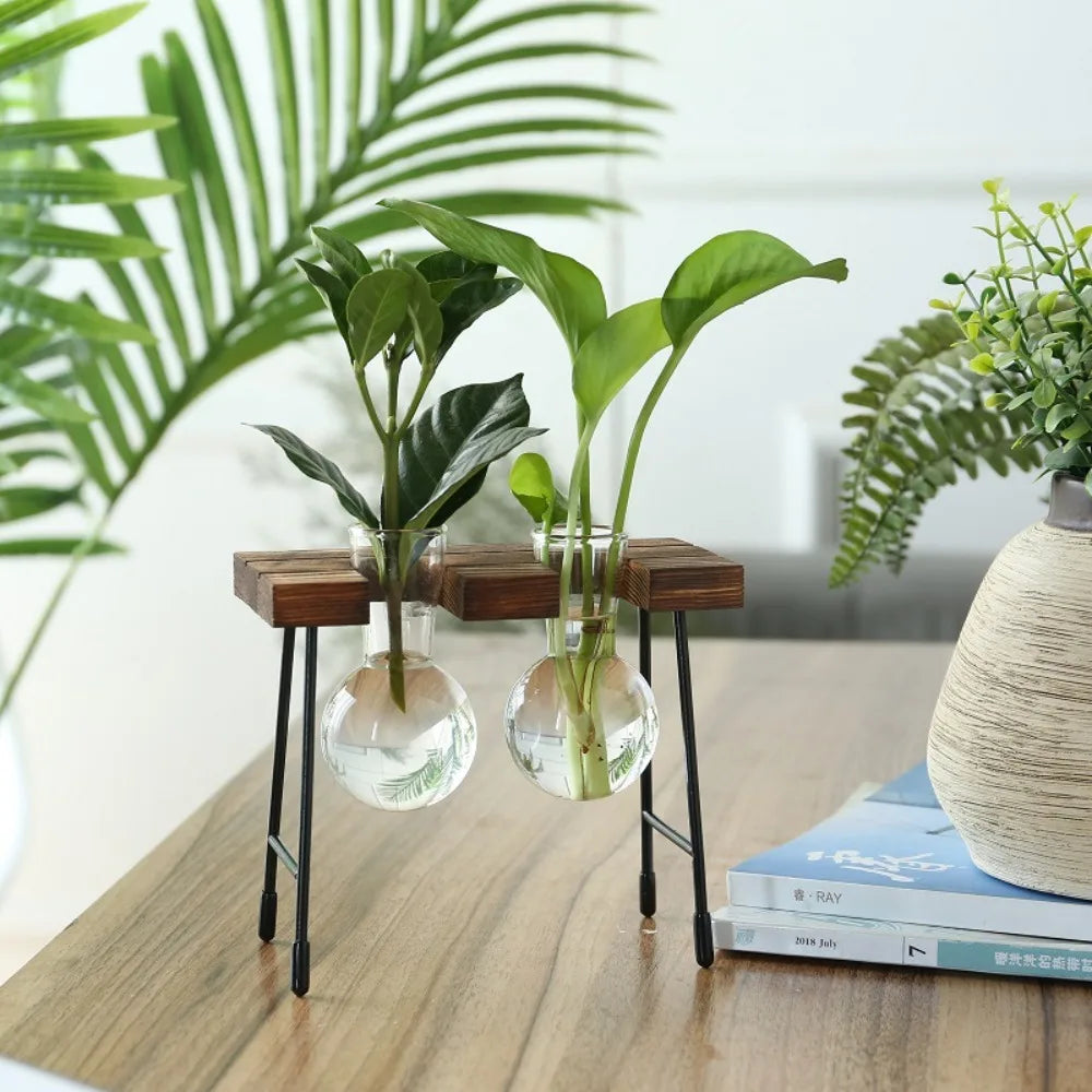 Hydroponic Vase