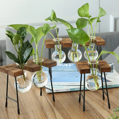 Hydroponic Vase