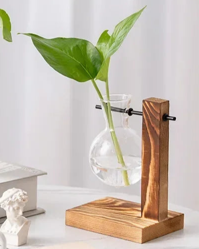 Elevate Your Space, Embrace Nature's Serenity