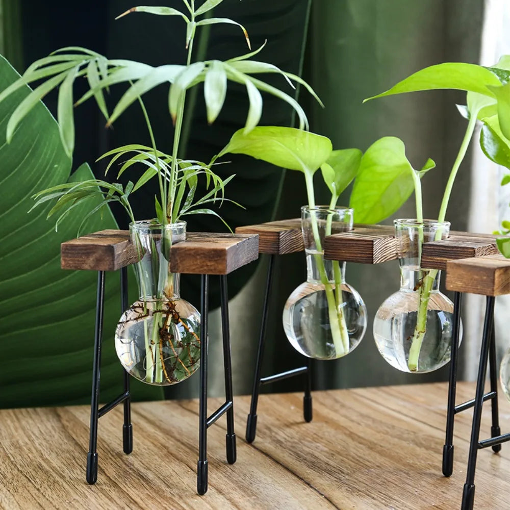 Hydroponic Vase