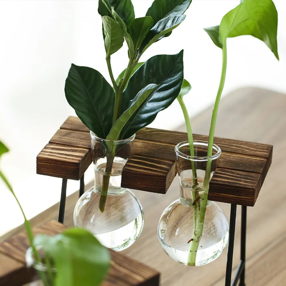 "Transform Your Space, Embrace Nature's Serenity"